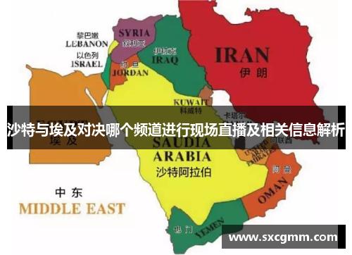 沙特与埃及对决哪个频道进行现场直播及相关信息解析